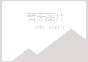 青海字迹艺术有限公司